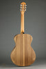 Taylor Academy 12e-N Nylon String Acoustic Electric Guitar - New
