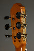 2014 Cordoba 55FCE Nylon String Acoustic Guitar Used