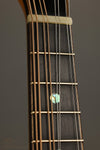 1999 David Cohen A Style Mandolin Used