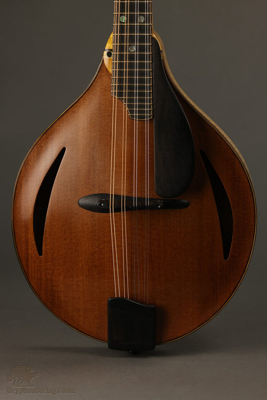 1999 David Cohen A Style Mandolin Used