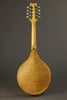 1999 David Cohen A Style Mandolin Used