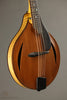1999 David Cohen A Style Mandolin Used