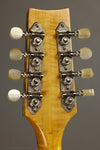 1999 David Cohen A Style Mandolin Used