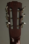 2010 Royall Parlorizer Resophonic Guitar Used