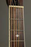 2010 Royall Parlorizer Resophonic Guitar Used