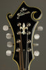 2007 Flatiron F Festival F Mandolin (Import)  Used