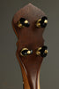 C. Waldman 12" Chromatic Step Side Openback Banjo New