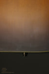2003 Santa Cruz Guitar Co. VJ (Vintage Jumbo) Steel String Acoustic Guitar Used