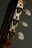 2014 New World Guitar Player 650-S Classical Guitar Used