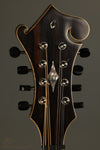 David Cohen F5 Style Walnut Mandolin New