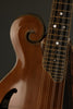 David Cohen F5 Style Walnut Mandolin New