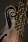 David Cohen F5 Style Maple Mandolin New