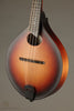 2010 Breedlove American OO Oval Hole Mandolin - Used