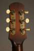 2023 Iris DF Acoustic Guitar- Used
