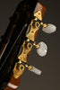 2001 Shelley Park Modele Elan 14 Archtop Acoustic Guitar- Used