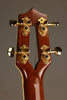 2008 Maui Music Longneck Concert Ukulele- Used