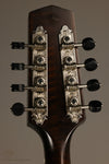 2021 Northfield NFM-A5 Model M Mandolin- Used