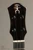 2020 aNueNue Bird UT 200 Tenor Ukulele- Used