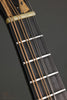 2017 Amesqua F5 Style Mandolin-Used