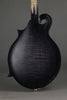2017 Amesqua F5 Style Mandolin-Used