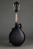2017 Amesqua F5 Style Mandolin-Used