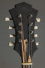 2017 Amesqua F5 Style Mandolin-Used
