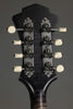 2017 Amesqua F5 Style Mandolin-Used