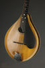 C.1924 Washburn (Lyon & Healy) Style C Mandolin-Used