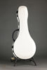 2024 Ellis A5 Special Mandolin-Used