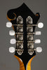 2015 Weber Yellowstone Mandolin-Used