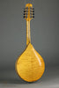 2023 Northfield A-5 Special NFMSP-A5 Amber Mandolin -Used