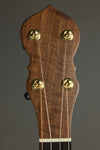 Waldman Chromatic Step-Side 5-String Open Back Banjo New