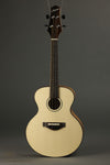 KR Strings Mandolindo Scholar Mandolin New