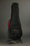KR Strings Mandolindo Scholar Mandolin New