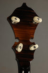 2014 Stelling Swallowtail 5-String Banjo Used