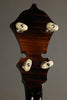 2014 Stelling Swallowtail 5-String Banjo Used