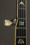 2014 Stelling Swallowtail 5-String Banjo Used
