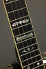 2014 Stelling Swallowtail 5-String Banjo Used