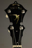 2014 Stelling Swallowtail 5-String Banjo Used