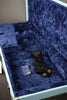 2021 Fender Telecaster Deluxe-Style Parts Guitar Used