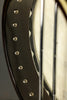 2003 Gold Tone WL-250 5-String Banjo Used