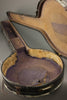 1921 Bacon Special Grand Concert 5-String Banjo Used