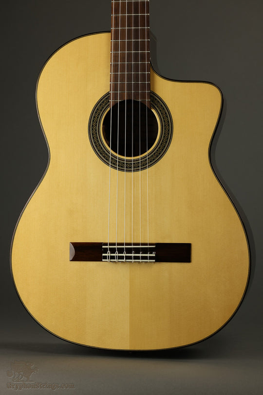 2019 New World E650S Fingerstyle Acoustic Electric Nylon String Guitar Used