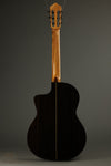 2019 New World E650S Fingerstyle Acoustic Electric Nylon String Guitar Used