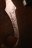 2016 Weber Gallatin F14-F Mandolin Used
