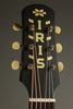 2023 Iris DF Model Acoustic Guitar Used
