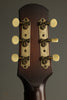 2023 Iris DF Model Acoustic Guitar Used