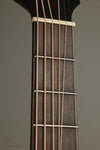 2023 Iris DF Model Acoustic Guitar Used