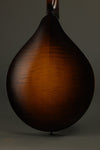 2010 Collings MTO Gloss Top Mandolin Used