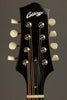 2010 Collings MTO Gloss Top Mandolin Used